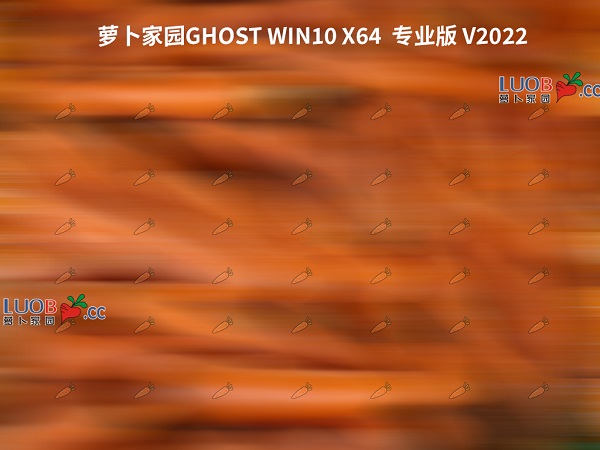 新萝卜家园Ghost Win10安全专业版简体中文版下载_新萝卜家园Ghost Win10安全专业版家庭版下载