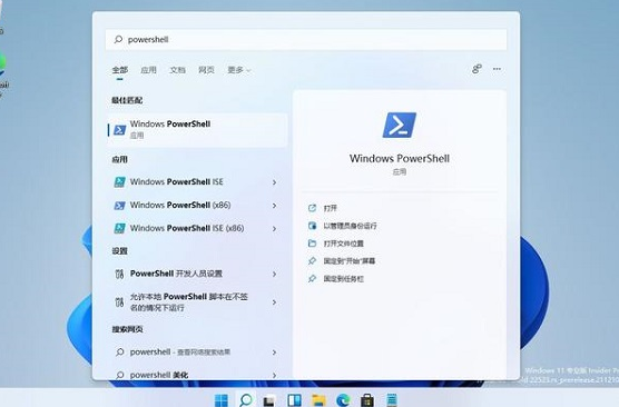 windows11专业优化版