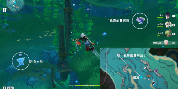 《原神》极彩的露珂菈打法推荐_《原神》极彩的露珂菈打法攻略