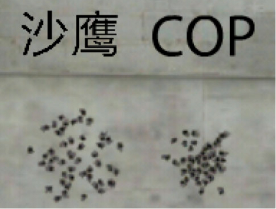 《cf手游》COP357雷霆介绍