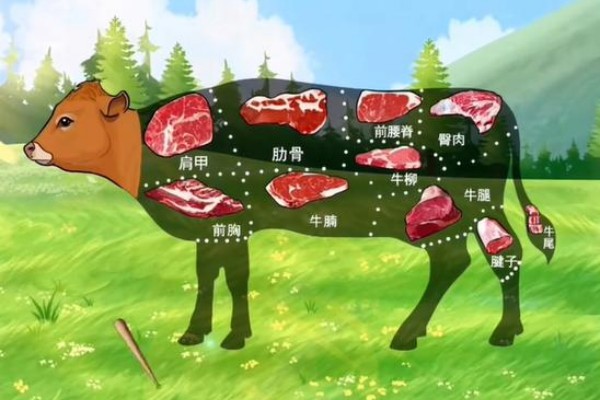 《动动大脑瓜》鲜嫩小牛怎么通关_《动动大脑瓜》鲜嫩小牛通关攻略