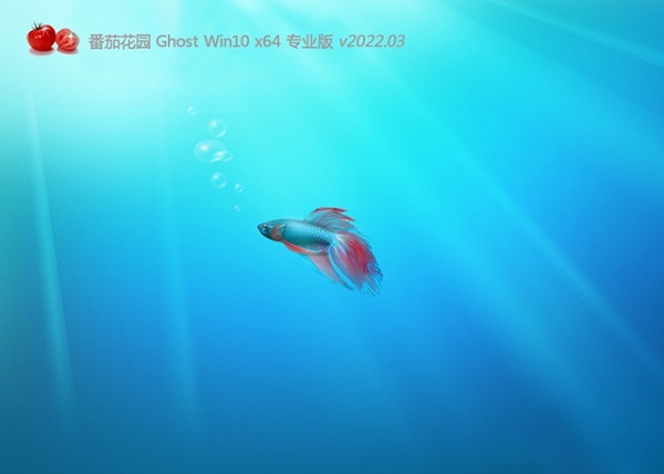 番茄花园win10 64位多驱动专业版中文版_番茄花园win10 64位多驱动专业版家庭版下载