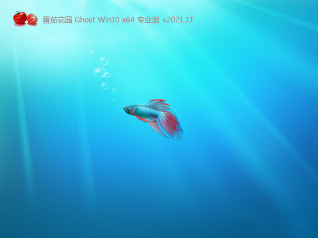 番茄花园Ghost win10 64位 小白版下载中文版_番茄花园Ghost win10 64位 小白版下载家庭版