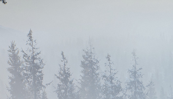 浩劫前夕有没有xbox版_浩劫前夕有xbox版吗