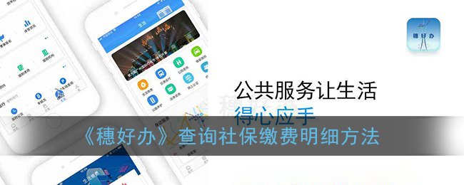 穗好办查询社保缴费明细方法