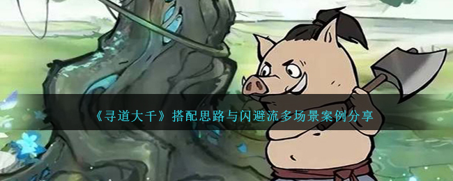 寻道大千闪避流搭配思路