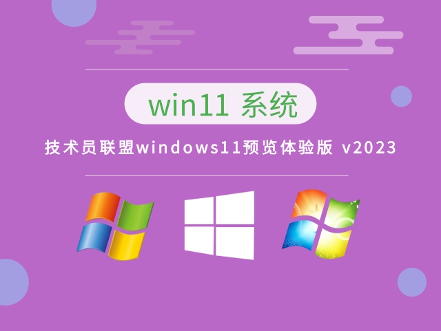 技术员联盟windows11预览体验版中文版正式版_技术员联盟windows11预览体验版专业版最新版
