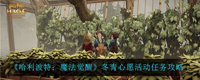 哈利波特魔法觉醒冬青心愿活动任务攻略