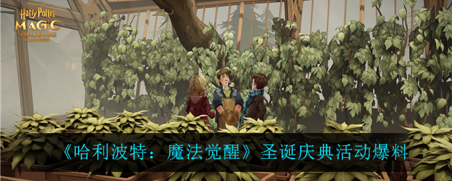 哈利波特魔法觉醒圣诞庆典活动爆料