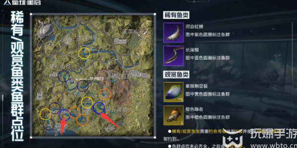 星球重启稀有鱼群在哪