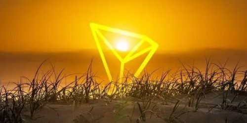 抹茶交易所是哪个国家的