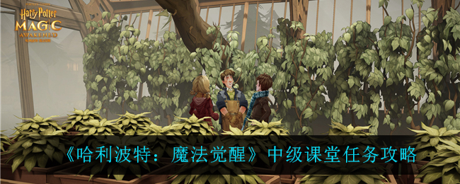 哈利波特魔法觉醒中级课堂任务攻略
