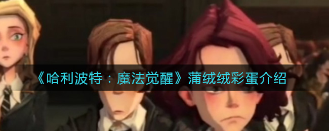 《哈利波特：魔法觉醒》蒲绒绒彩蛋介绍