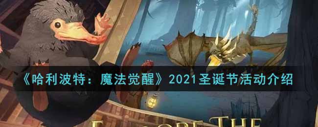 哈利波特魔法觉醒2021圣诞节活动介绍