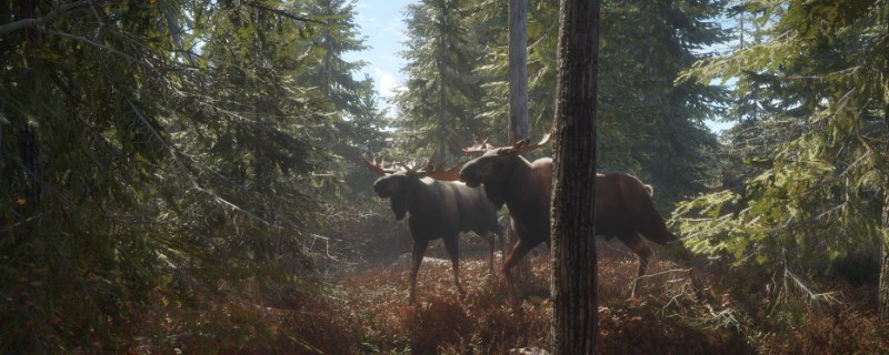 猎人荒野的呼唤怎么抓雷文图里的驼鹿