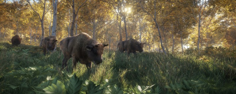 猎人荒野的呼唤怎么抓费南多的领西猯