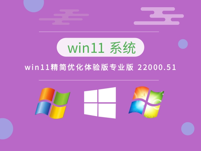 win11精简优化体验版专业版 22000.51中文正式版_win11精简优化体验版22000.51最新版本下载