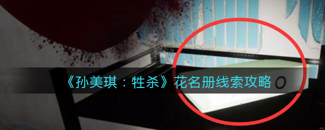 孙美琪疑案牲杀三级线索——花名册