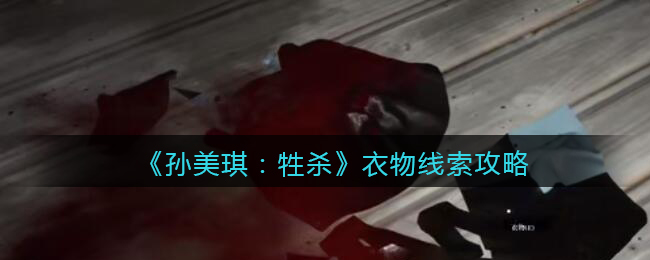 孙美琪疑案牲杀三级线索——衣物