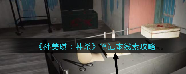 孙美琪疑案牲杀三级线索——笔记本