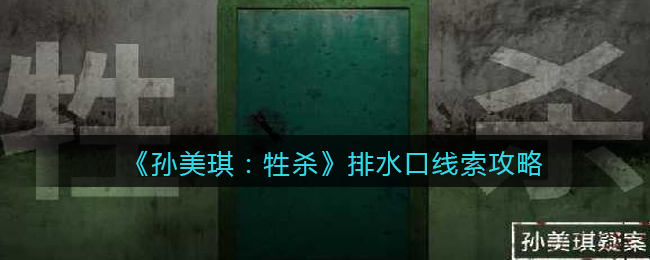 孙美琪疑案牲杀三级线索——排水口
