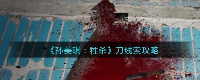 孙美琪疑案牲杀三级线索——刀