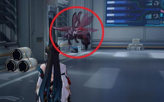 崩坏星穹铁道异宠拾遗全稀有造物收集攻略