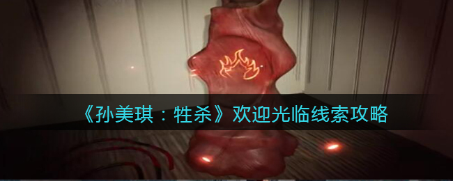 孙美琪疑案牲杀二级线索——欢迎光临