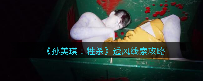 孙美琪疑案牲杀二级线索——透风