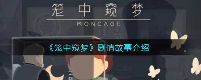 笼中窥梦剧情故事介绍