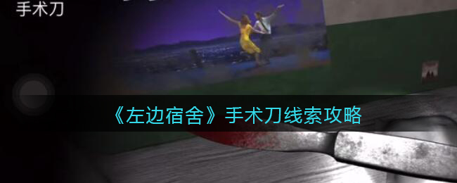 孙美琪疑案左边宿舍四级线索——手术刀