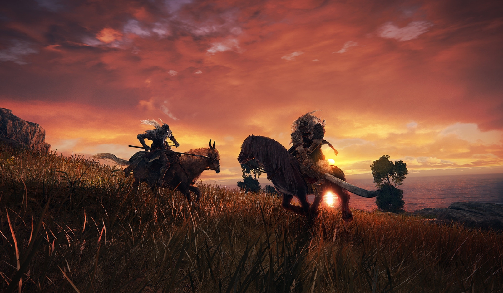 艾尔登法环dlc和普通的区别在哪