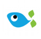 比特鱼矿池2024下载安卓