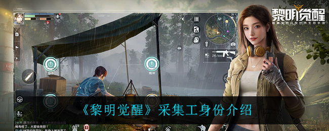 黎明觉醒采集工身份介绍