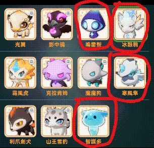 出发吧麦芬宠物推荐