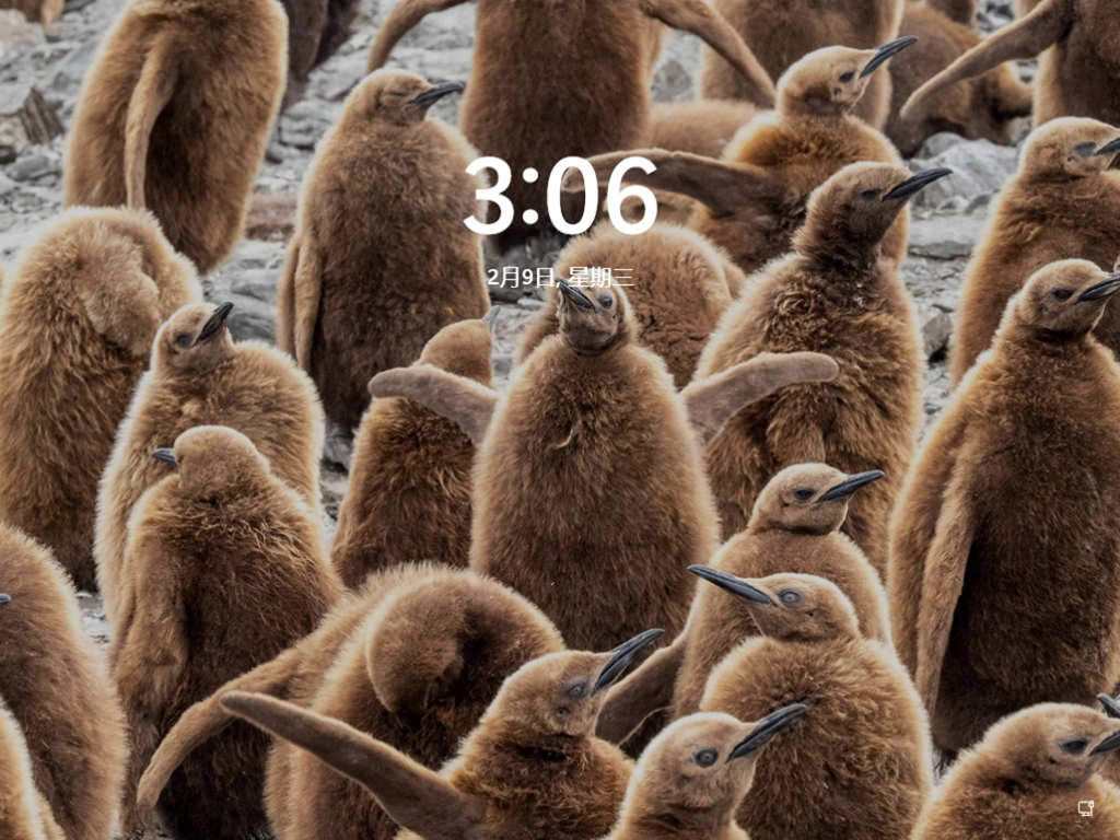 Win11正式完整版镜像下载中文正式版_Win11正式完整版镜像最新版