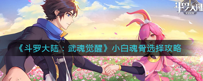 斗罗大陆武魂觉醒小白魂骨选择攻略