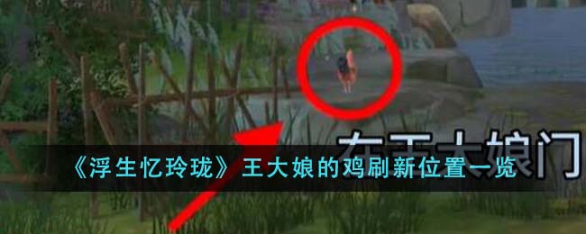 浮生忆玲珑王大娘鸡群藏匿地全面解析