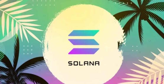 SOL链用什么钱包