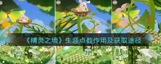 精灵之境生涯点数作用及获取途径