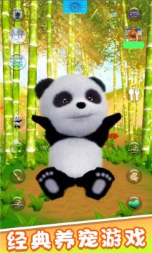 宠物熊猫模拟器app安卓版下载