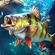 欢乐钓鱼大师最新版下载2024安卓