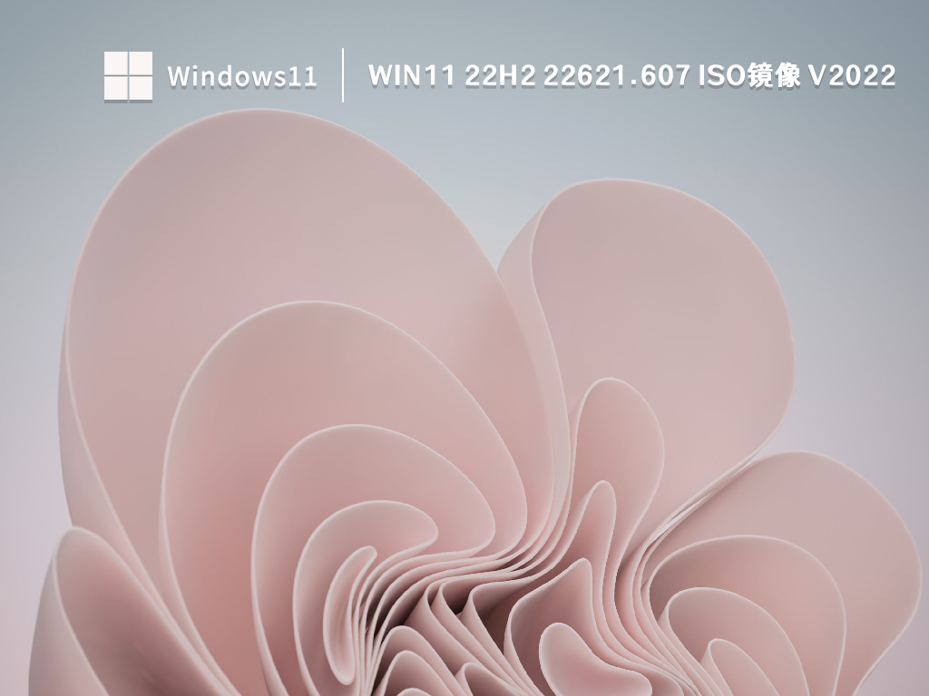 Win11 22H2 22621.607 ISO镜像中文版正式版_Win11 22H2 22621.607 ISO镜像下载专业版