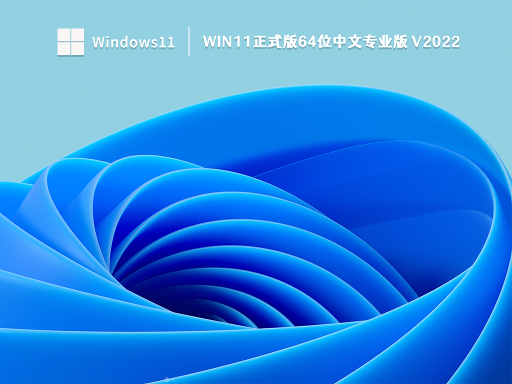 Win11正式版64位中文专业版中文版下载_Win11正式版64位中文专业版最新版下载