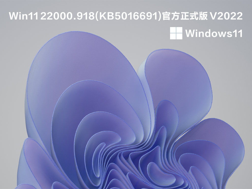 Win11 22000.918(KB5016691)下载正式版_Win11 22000.918专业版最新版