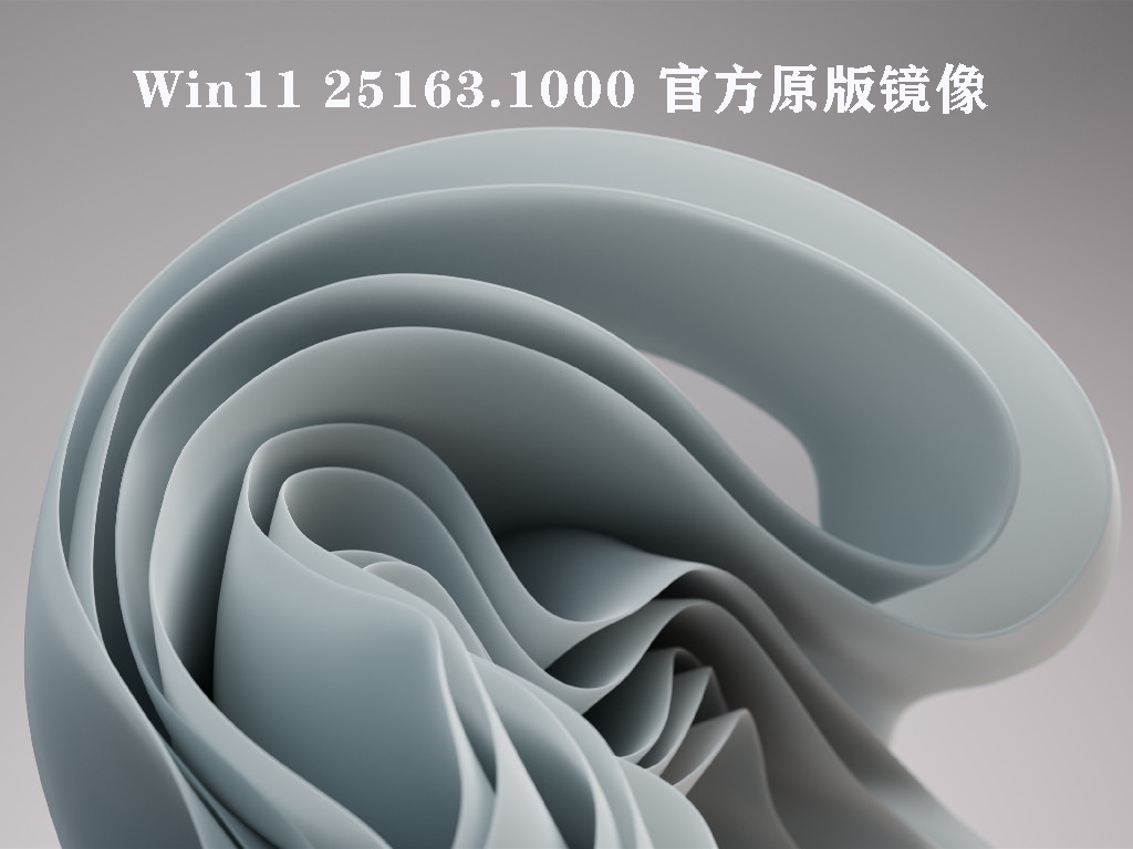 Win11 25163.1000 官方原版镜像简体中文版_Win11 25163.1000 官方原版镜像家庭版