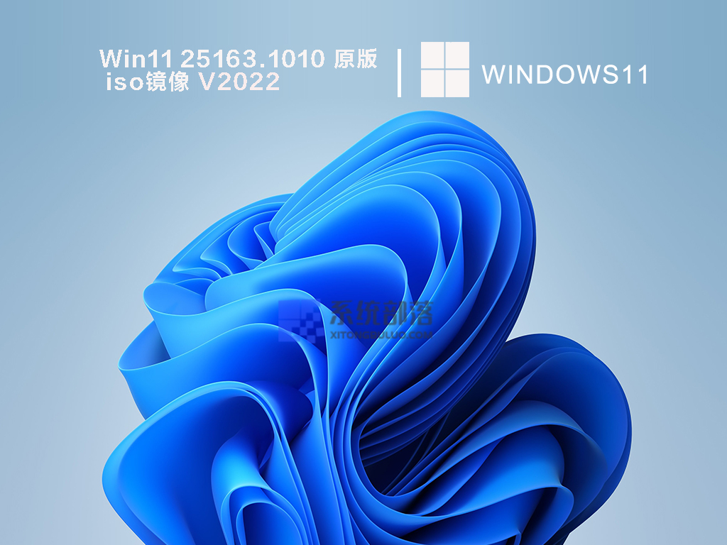 Win11 25163.1010 原版iso镜像简体中文版_Win11 25163.1010 原版iso镜像专业版最新版
