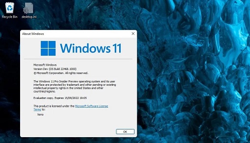 Windows11 22H2 64位 iso镜像
