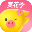 飞猪旅行app最新版