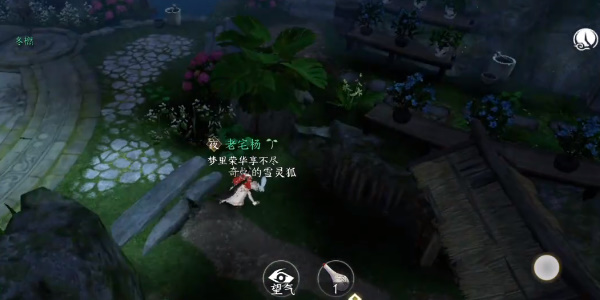 逆水寒手游灵谷狐踪奇遇攻略